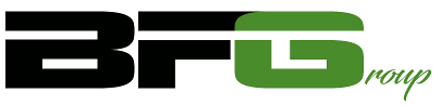 TheBFGroup